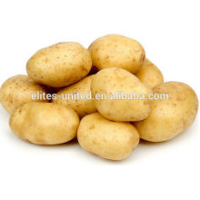 Chinese organic fresh sweet potato